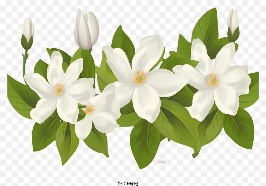 Fleurs Blanches，Bouquet PNG