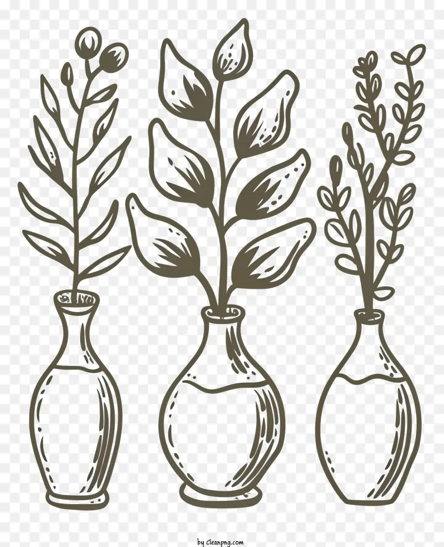 Vases，Feuilles PNG