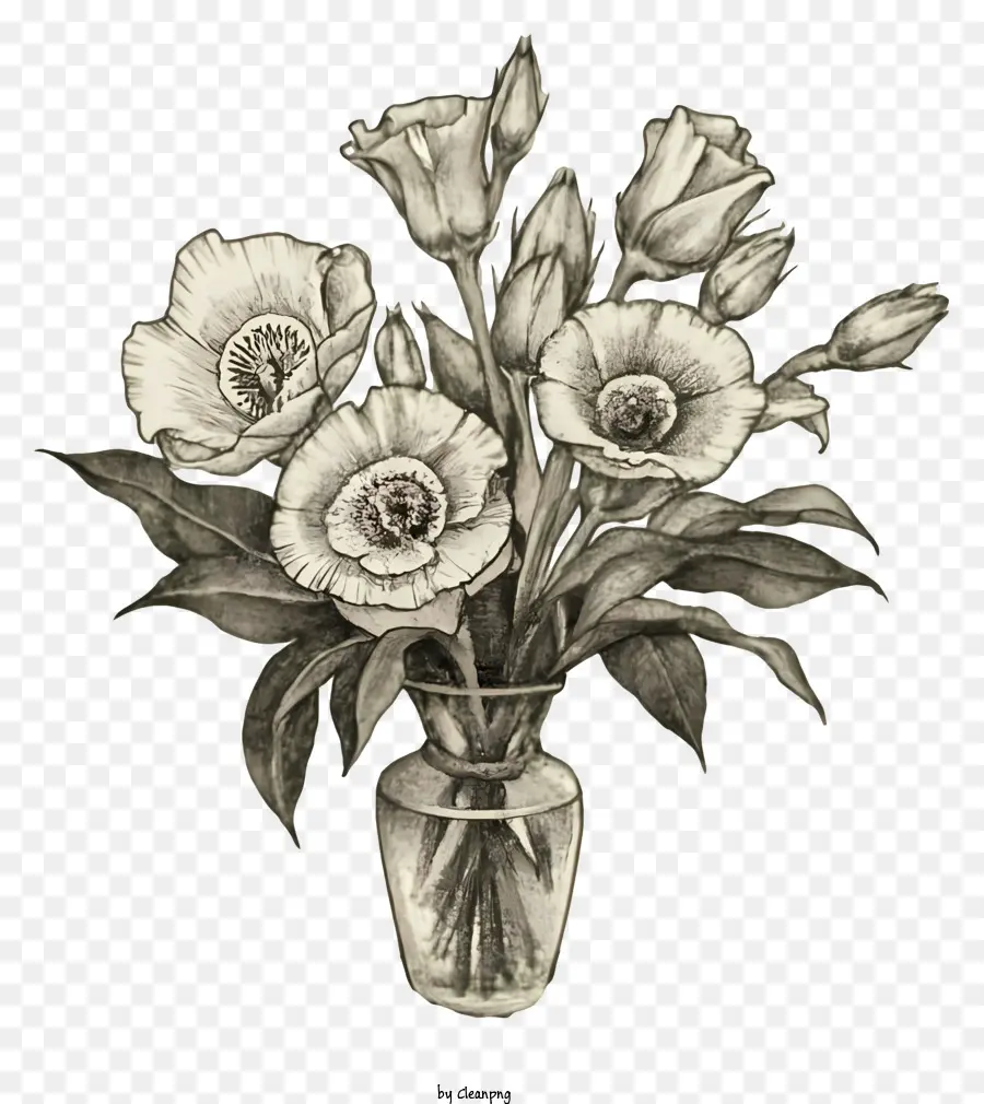 Vase，Fleurs PNG