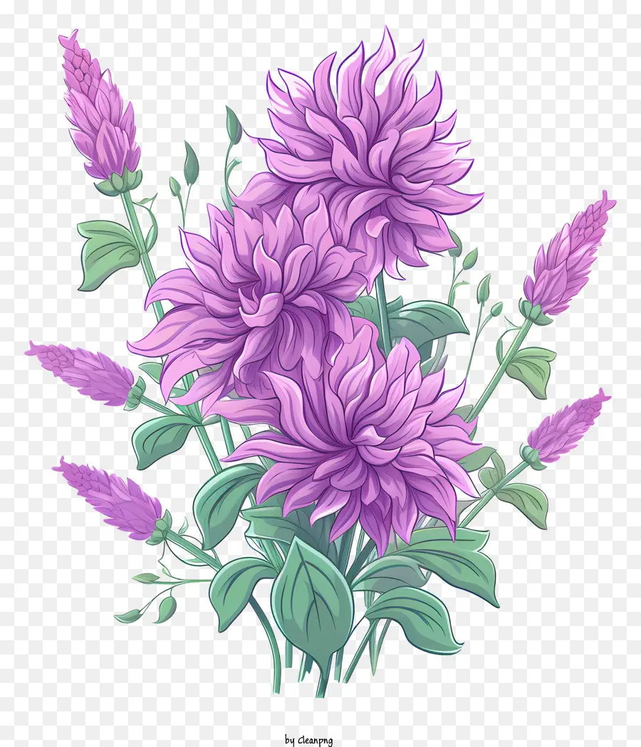 Fleurs De Dahlia Violet，Bouquet PNG