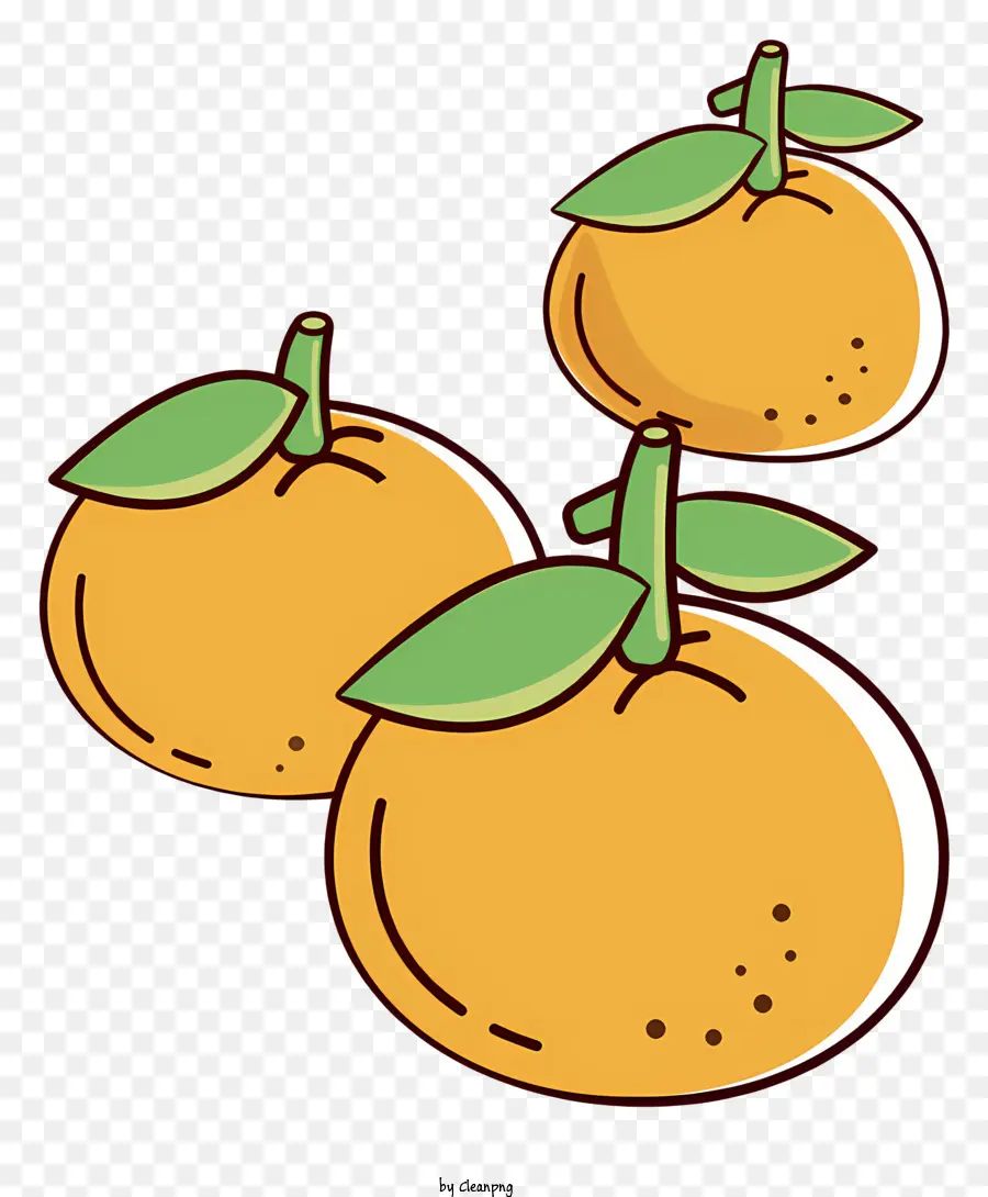 Tranches D'oranges，Oranges PNG