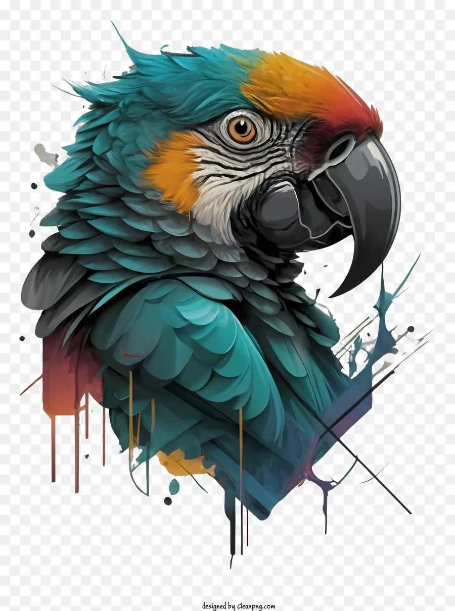 Coloré Parrot，Orange Vif PNG