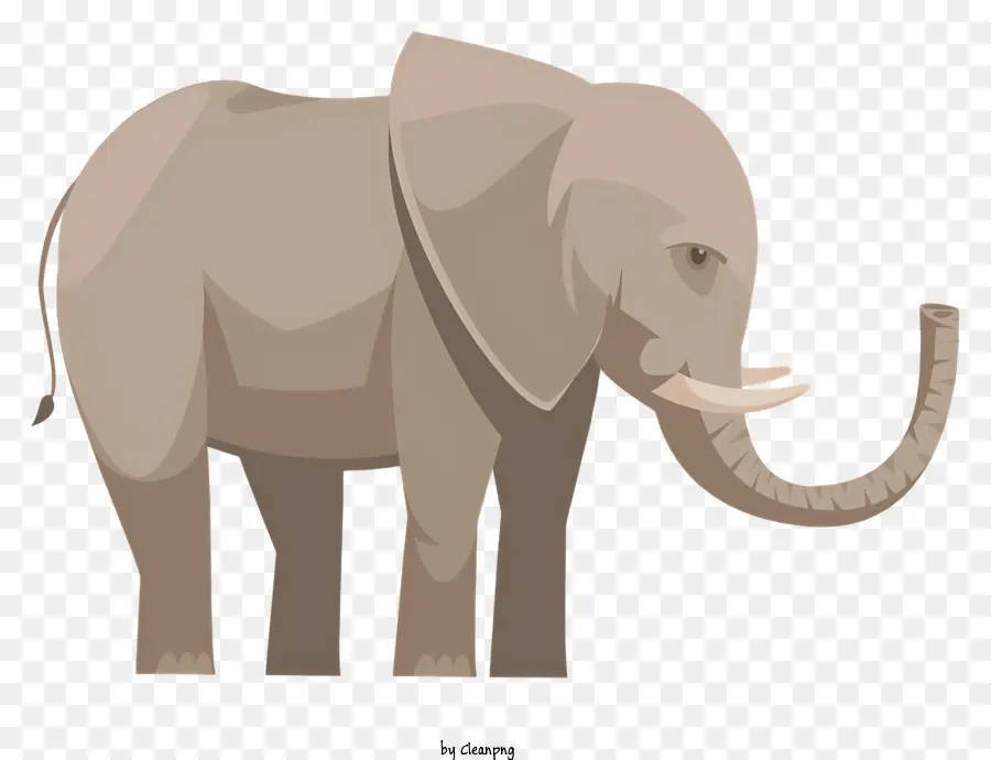 L'éléphant，Gris PNG