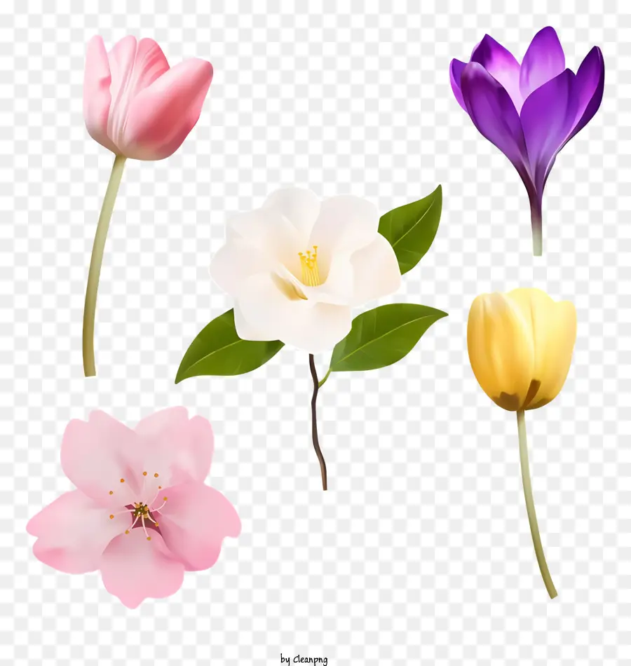Fleurs De Printemps，Bouquet PNG