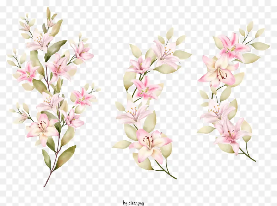 Peinture à L'aquarelle，Fleurs Roses PNG