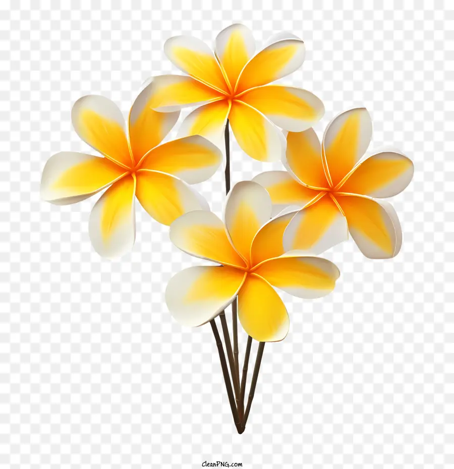 Fleur De Pluméria，Fleurs Jaunes PNG