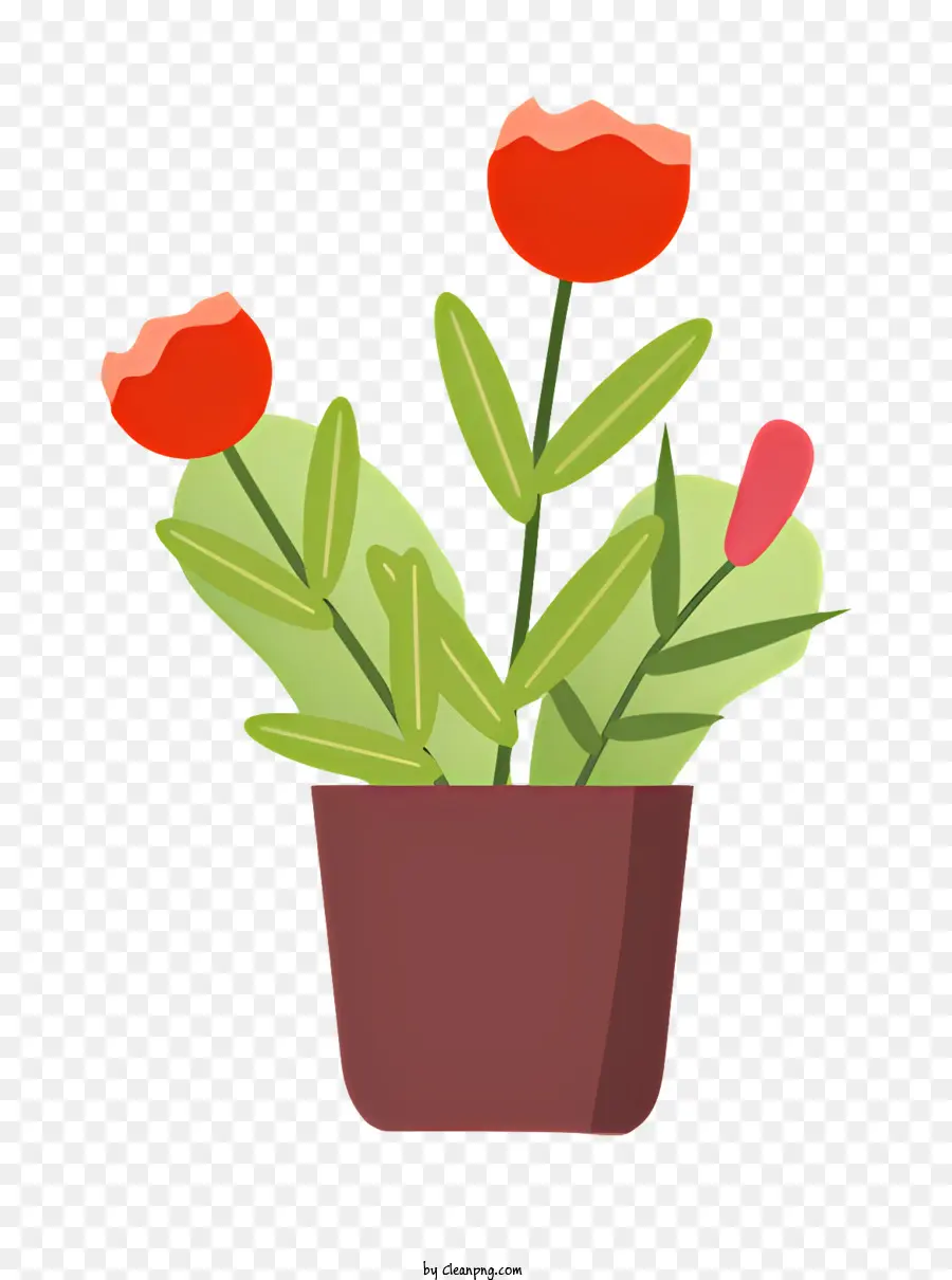 Plante En Pot，Usine PNG