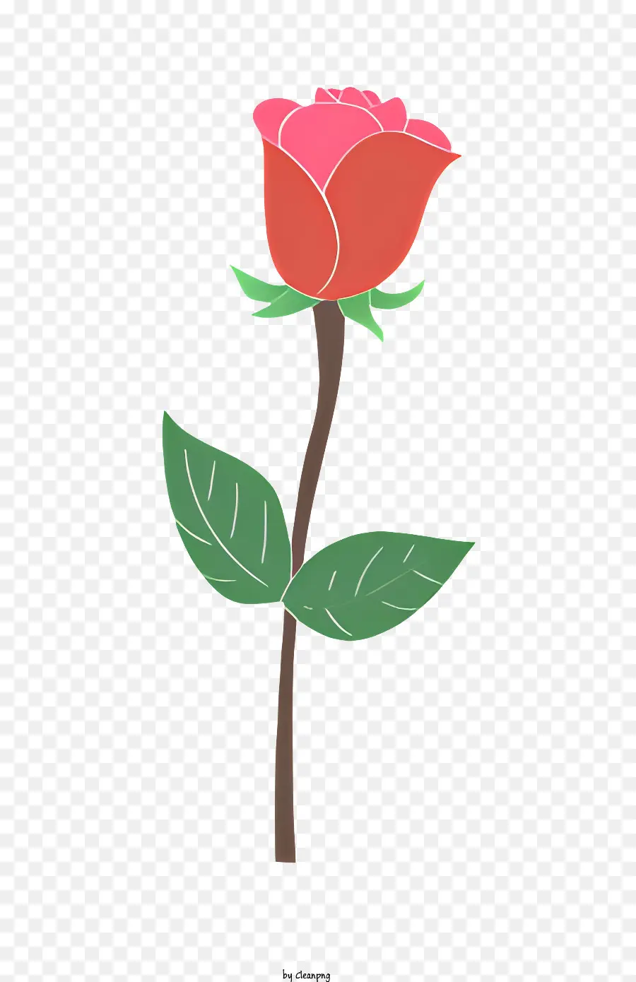 Rose Rose，Feuilles Vertes PNG