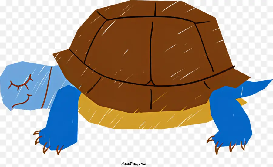 Tortue De Dessin Animé，Reptile PNG