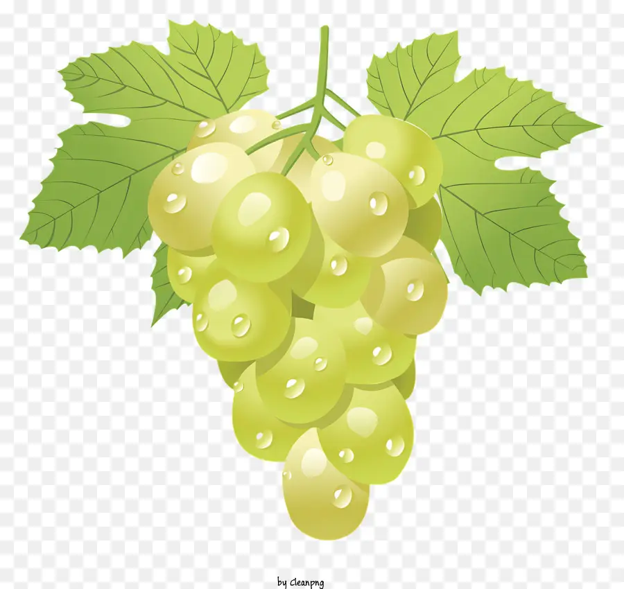 Raisins Frais，Raisins Verts PNG