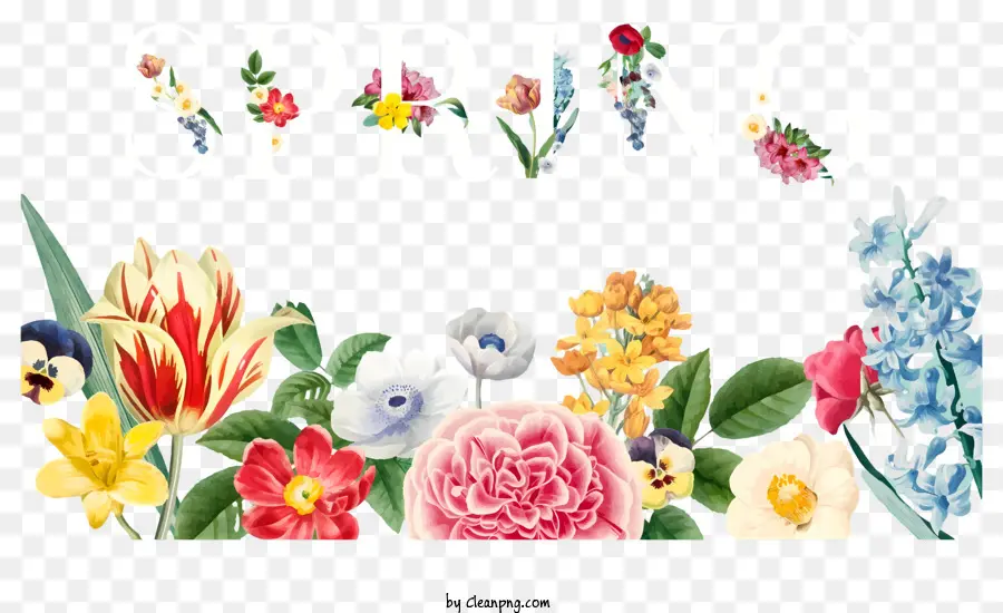 Fleurs，Printemps PNG