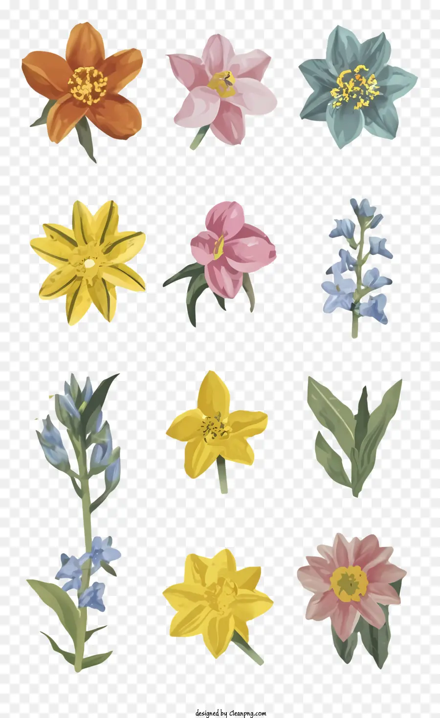 Fleurs Sauvages，Fleurs Colorées PNG