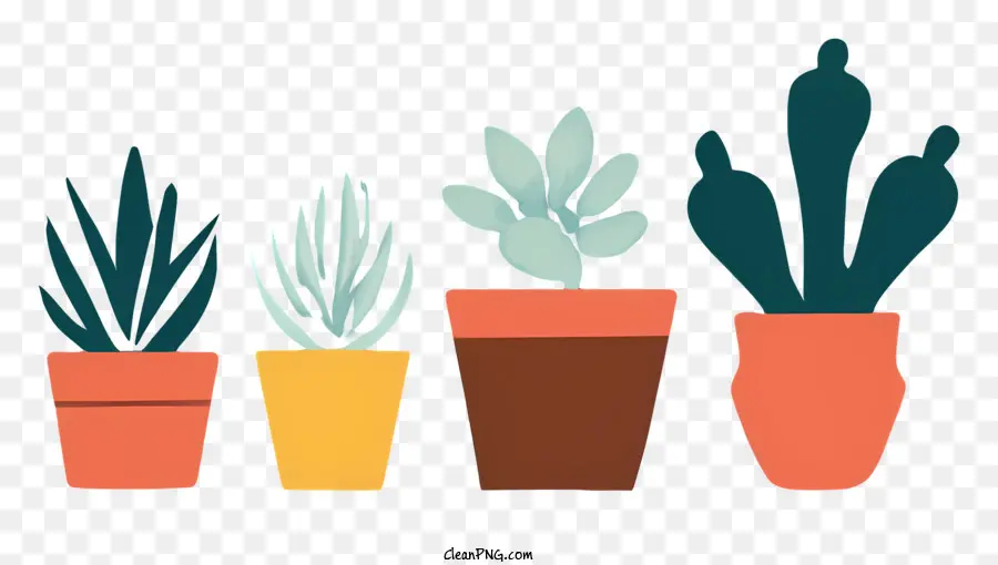 Plantes Succulentes，Plantes En Pot PNG