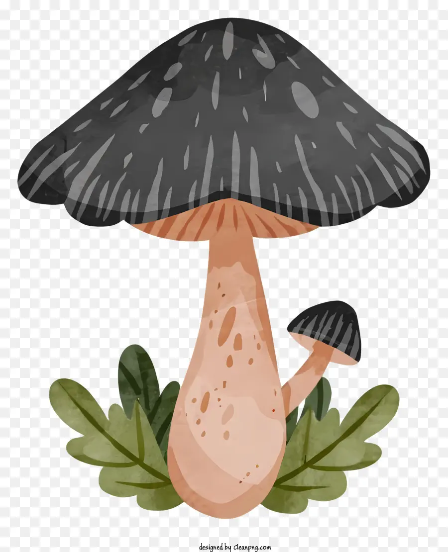 Champignon，Champignon Noir PNG