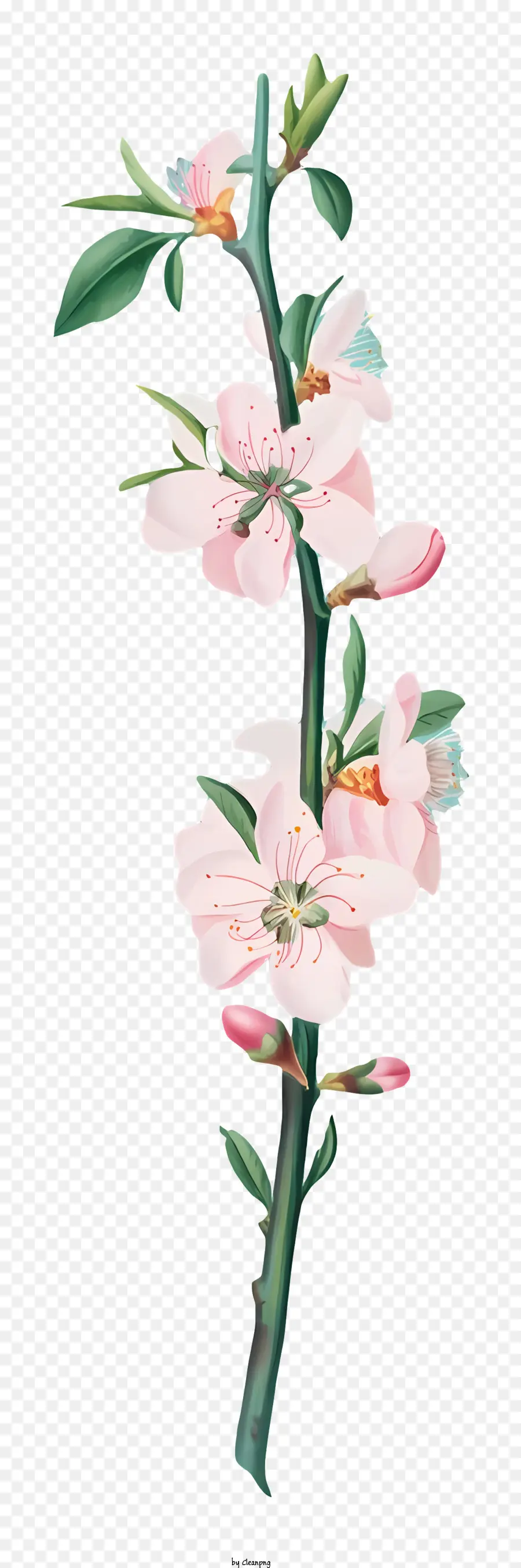 La Floraison Des Arbres，Fleurs Roses PNG