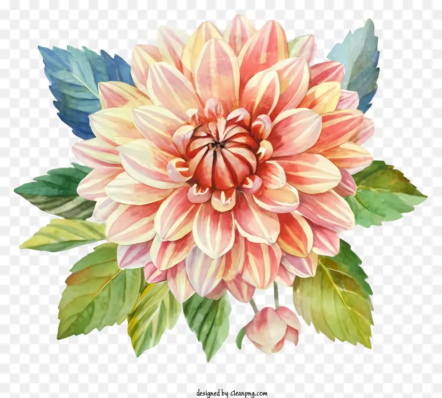 Fleur De Dahlia，Fleur PNG