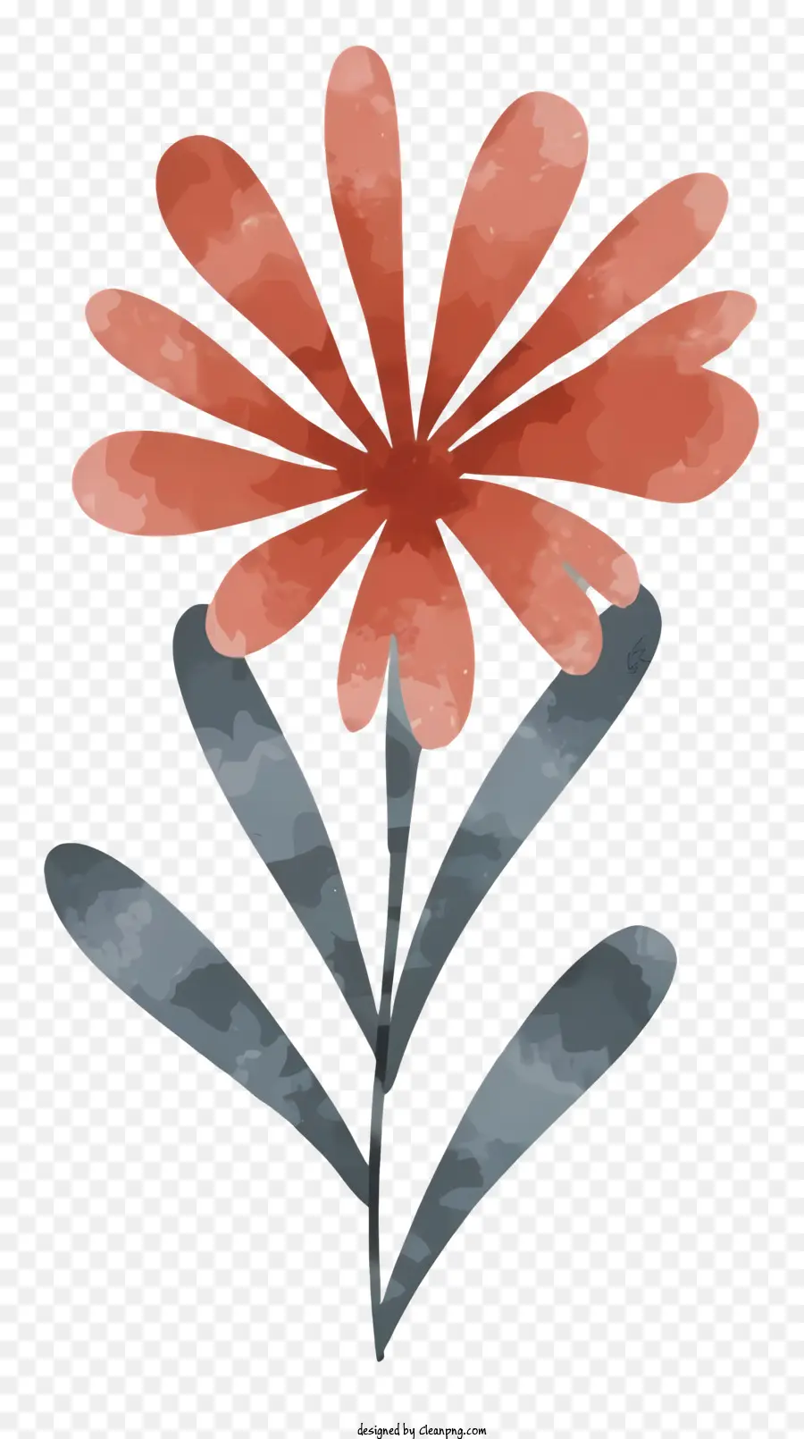 Fleur Colorée，Marguerite Rouge PNG