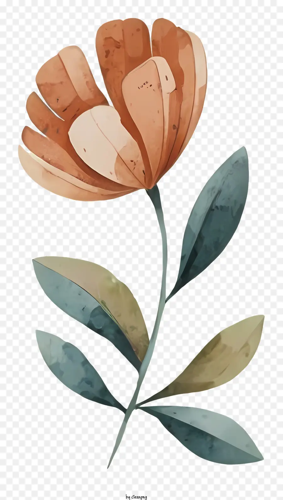 La Fleur D'oranger，Fleur Jaune PNG
