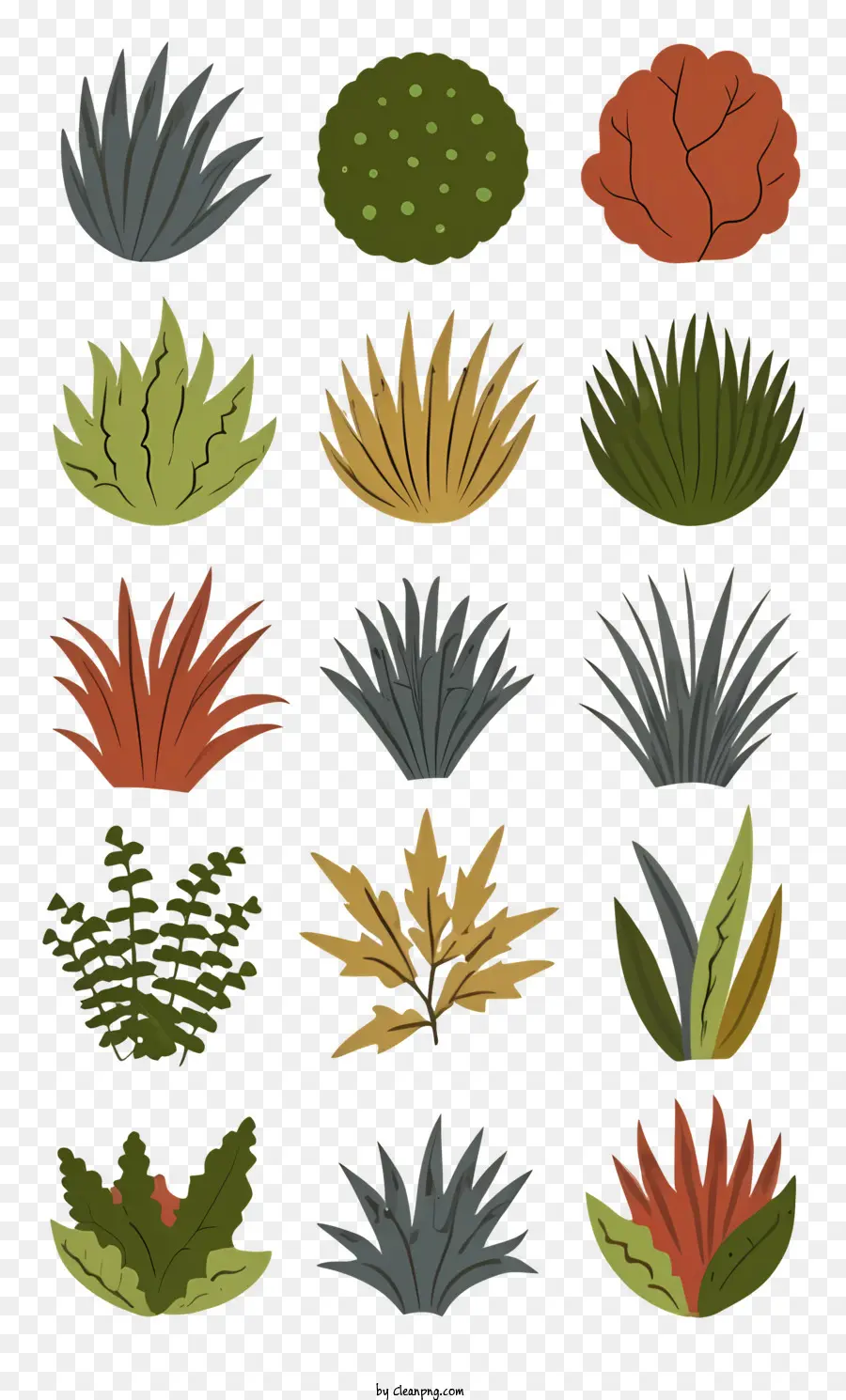 Plantes Tropicales，Les Palmiers PNG