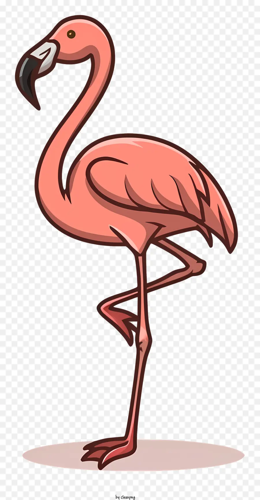 Flamant Rose，Flamant PNG