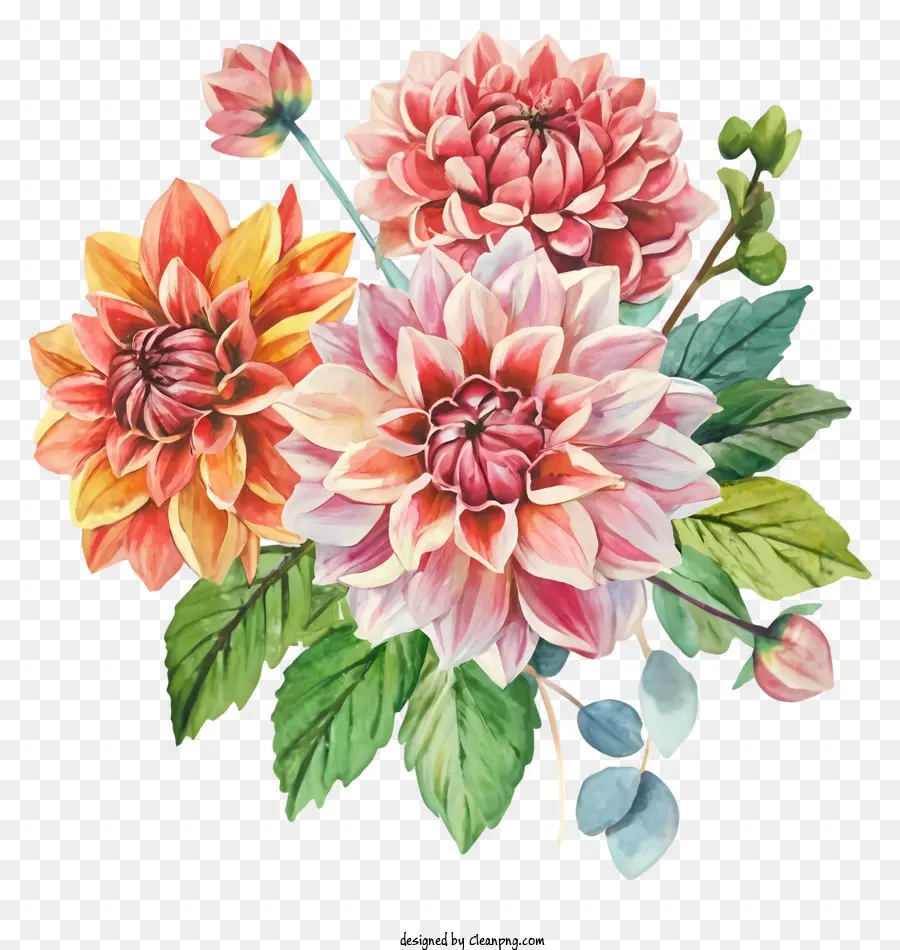 Peinture à L'aquarelle，Fleur PNG