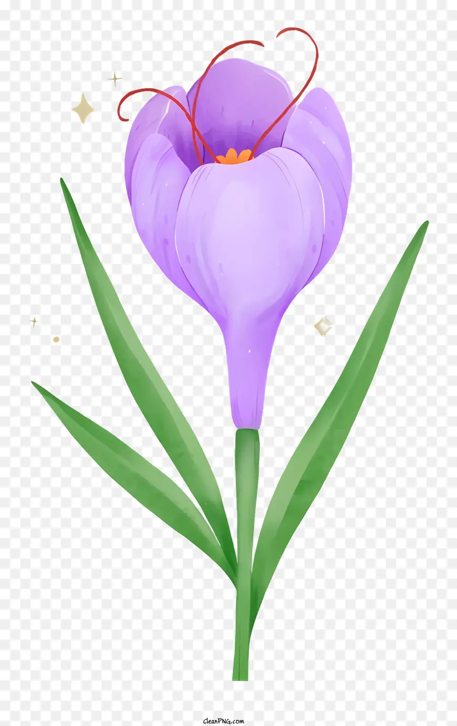 Fleur Pourpre，Tiges Et Feuilles Blanches PNG