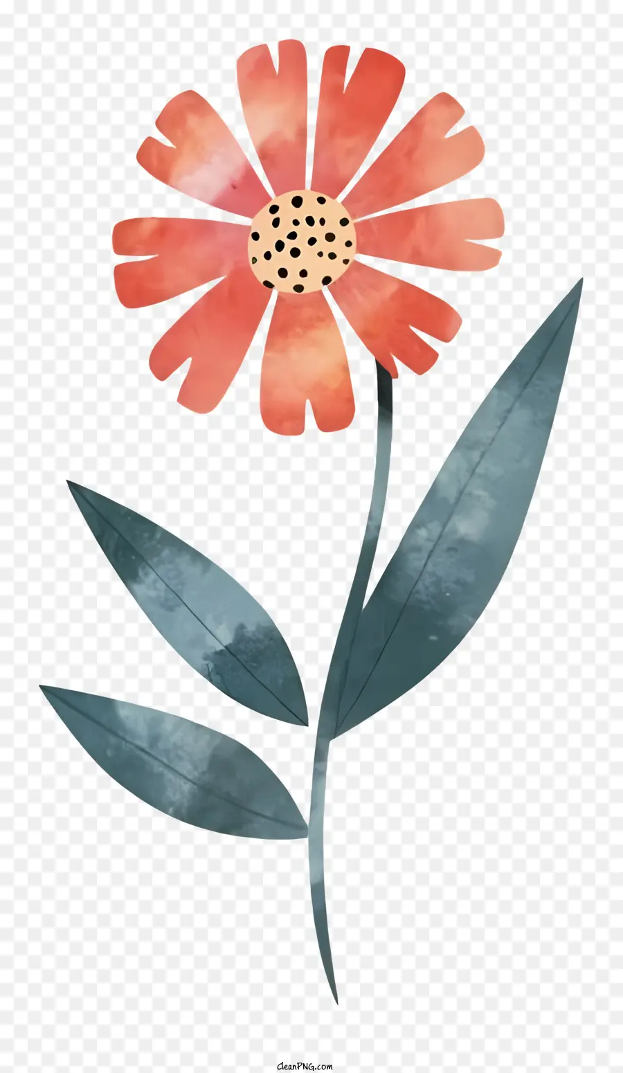 Fleur，Rouge PNG