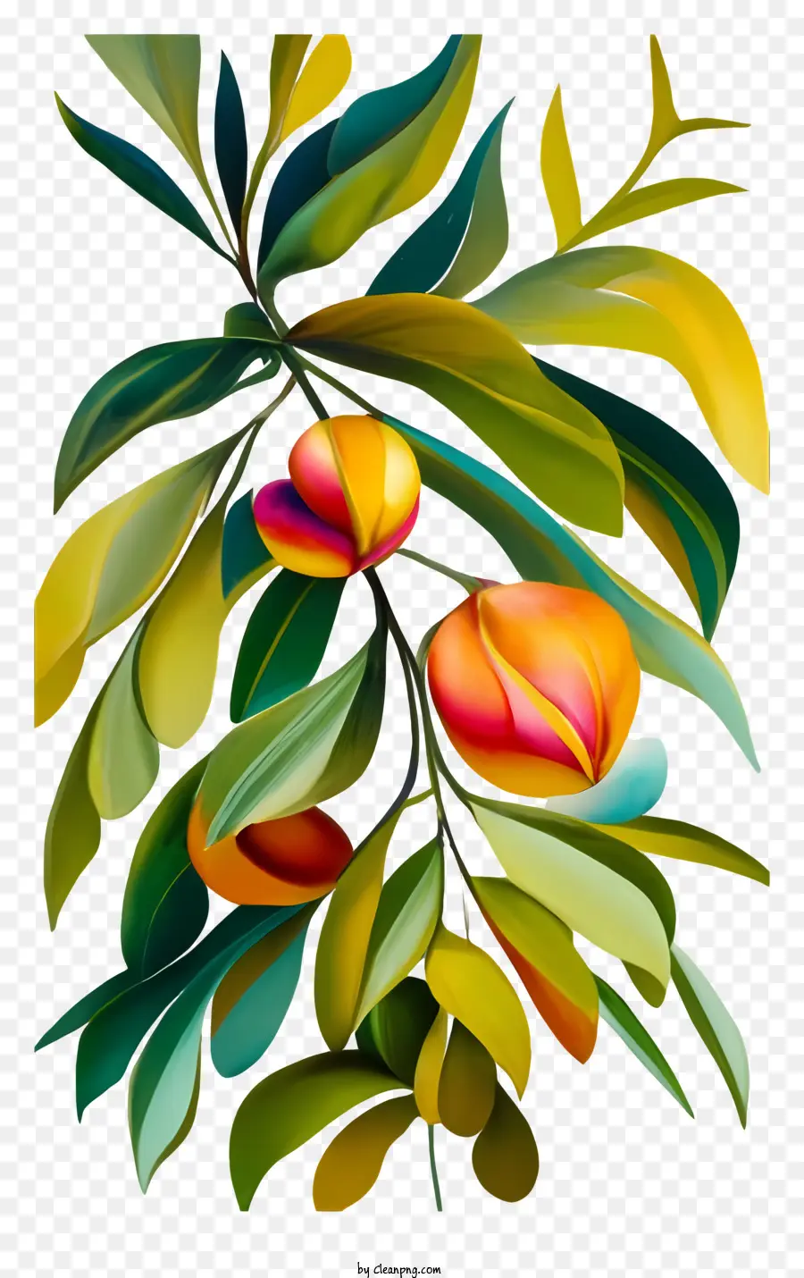 Fruits Mûrs，Branche PNG