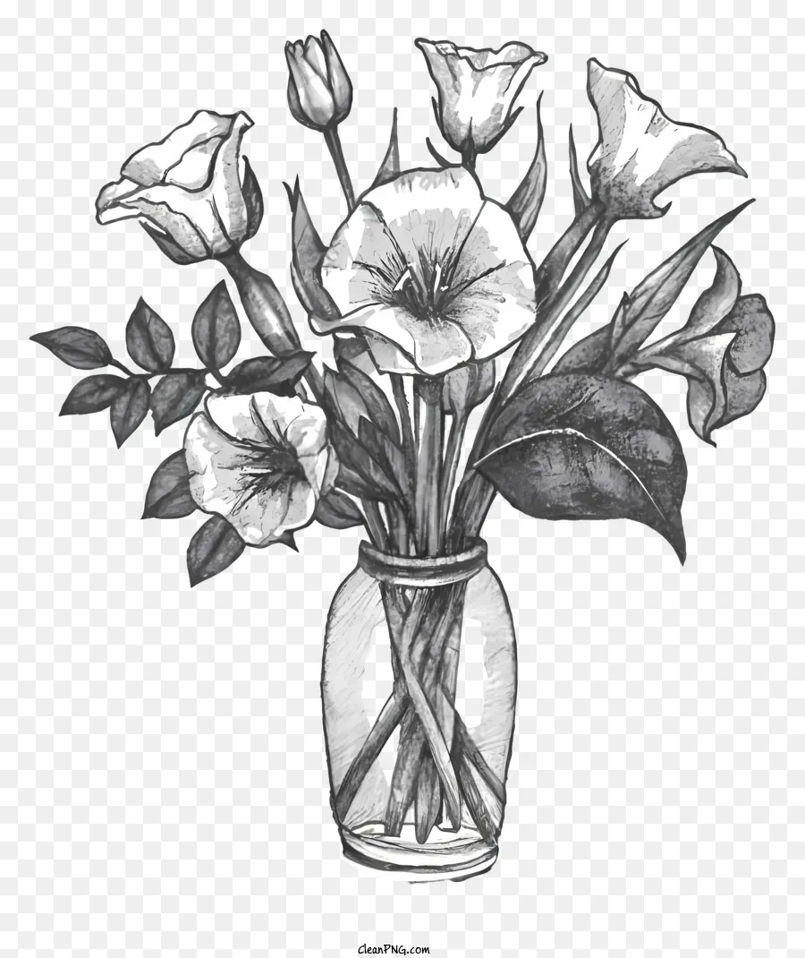 Image En Noir Et Blanc，Vase à Fleurs PNG