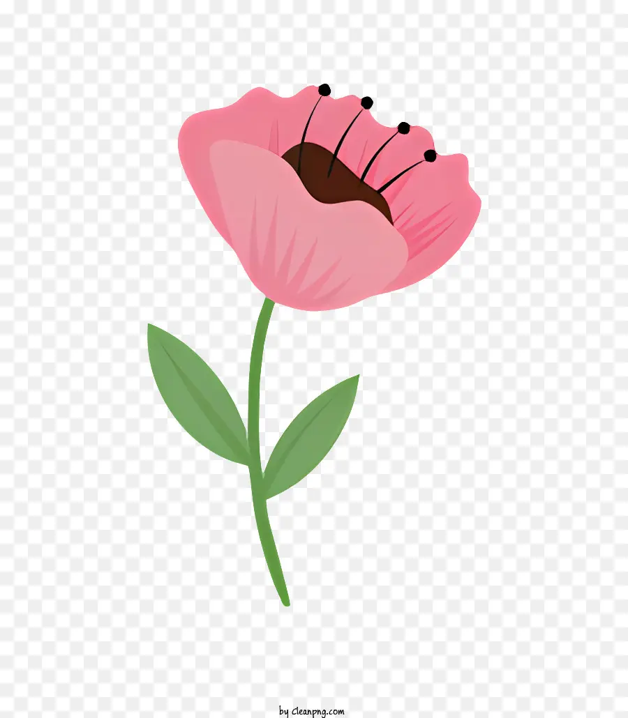 Fleur Rose，Arrière Plan Noir PNG