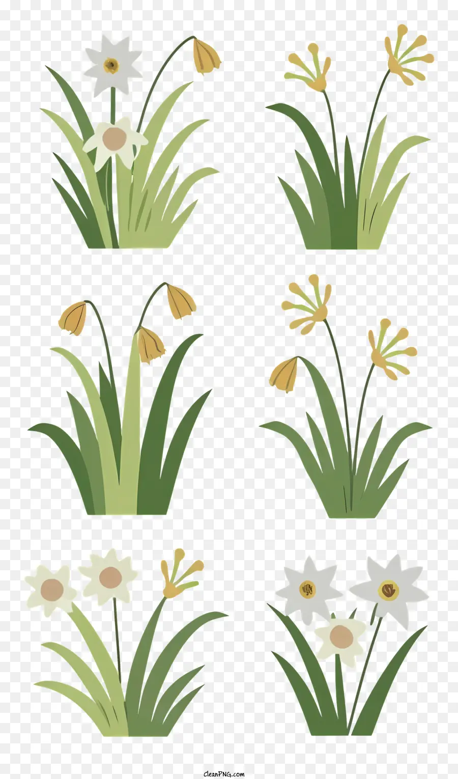 Plantes，Herbe Et Fleurs PNG