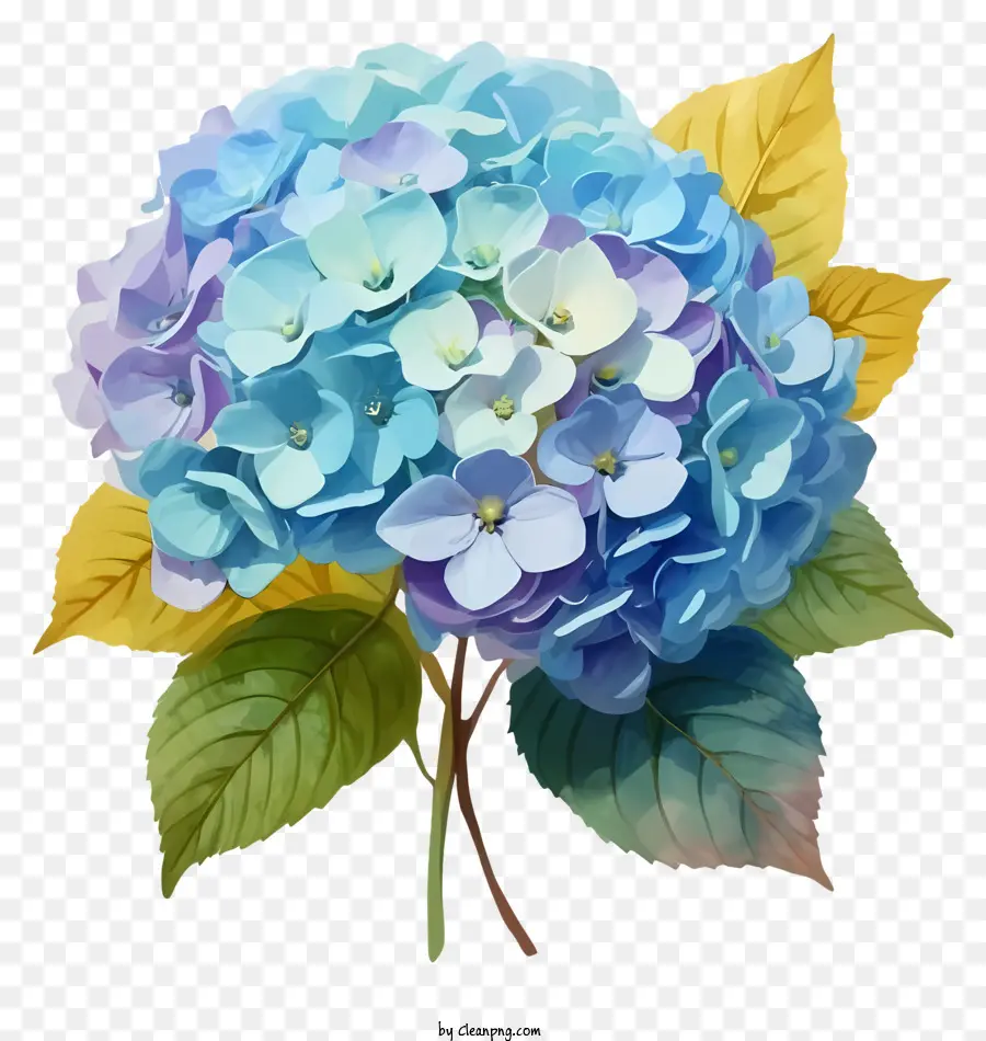 Bouquet De Fleurs，Bleu Hortensia Fleur PNG