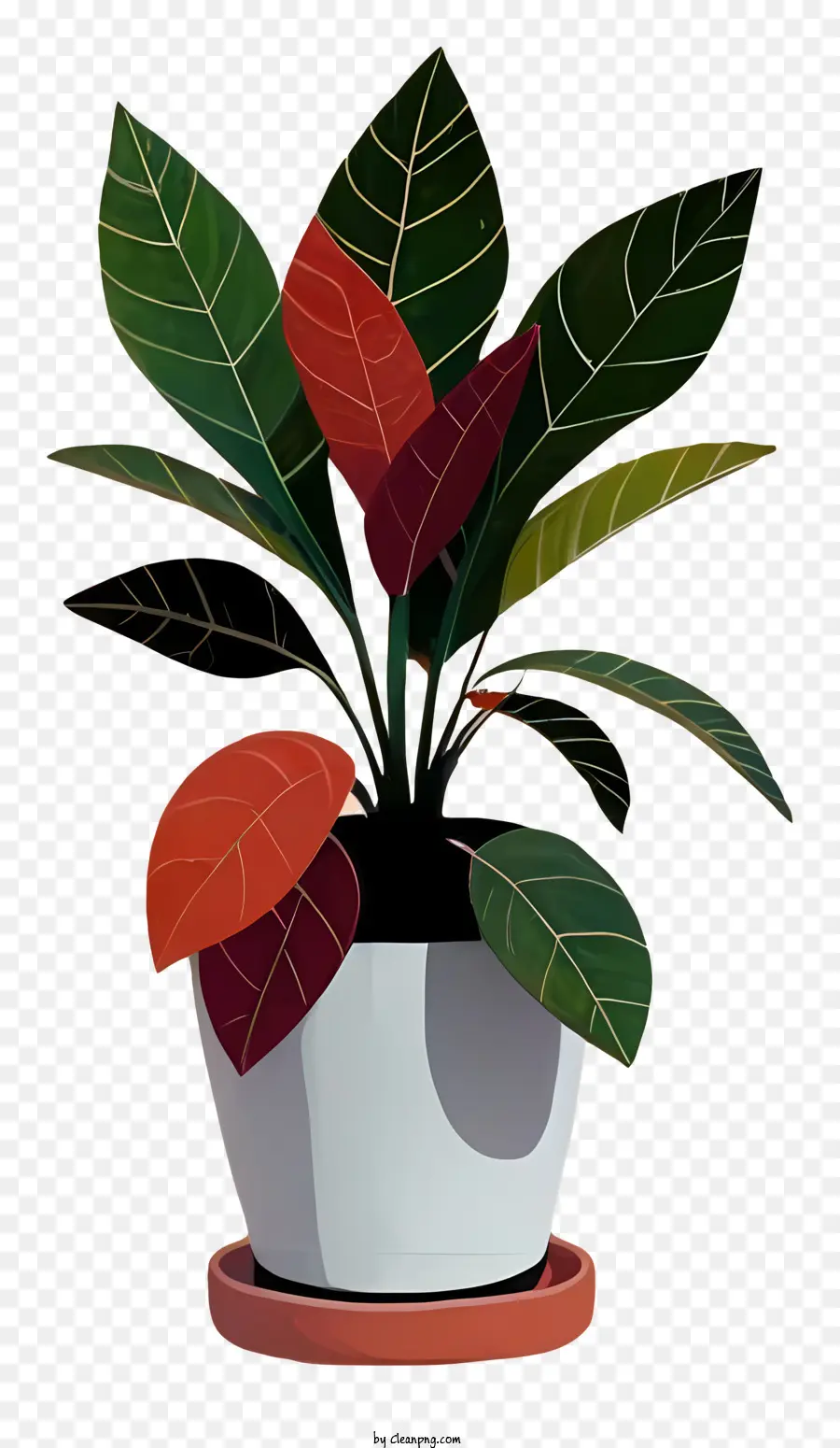 Plante En Pot，Feuilles Rouges PNG