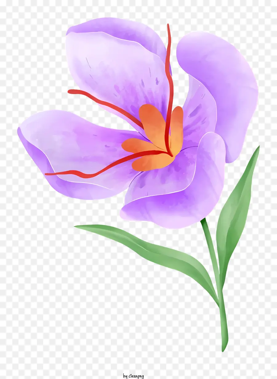 Fleur Pourpre，Orange Pétales PNG