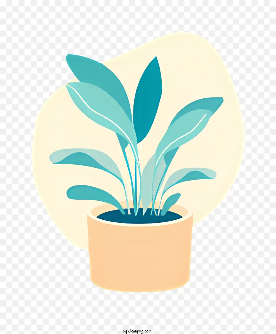 Plante Succulente，Plante En Pot PNG