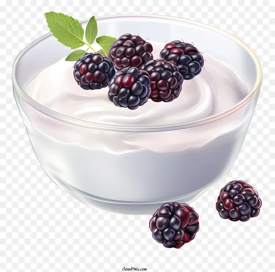 Blackberry Yogourt，Mûres Fraîches PNG