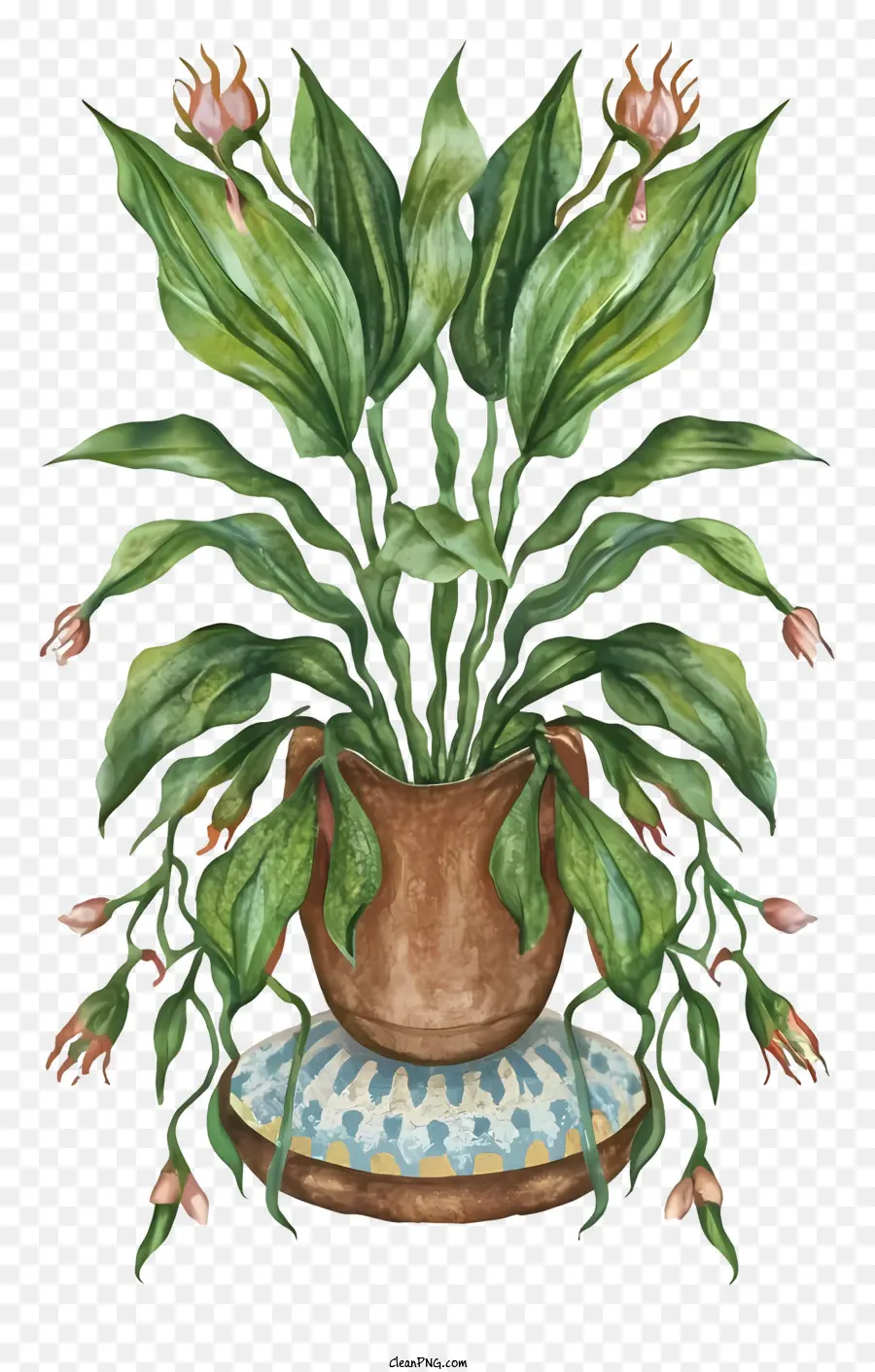Les Plantes En Pot，Plantes Luxuriantes PNG