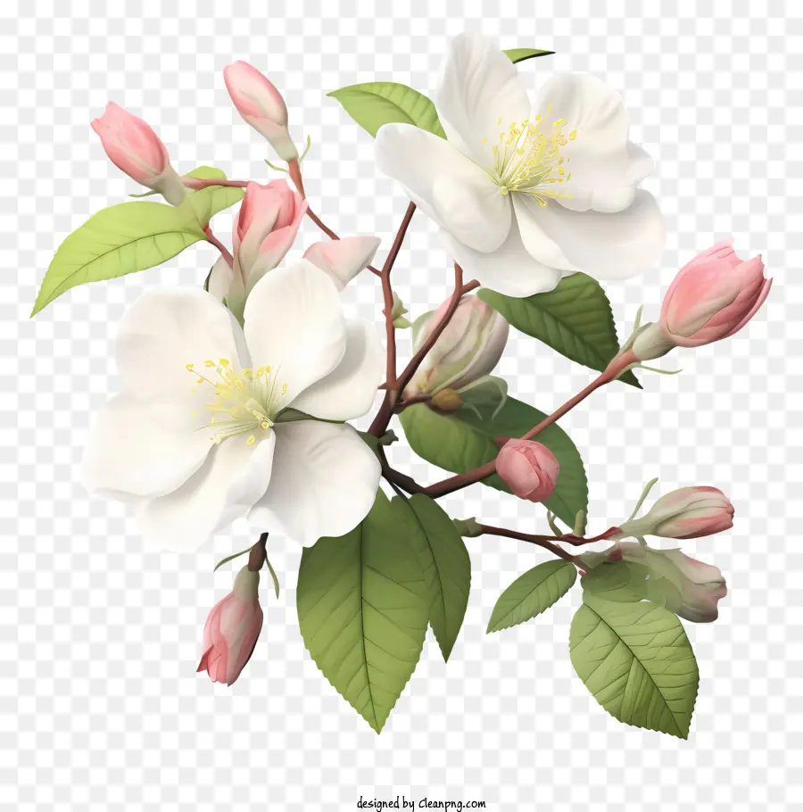 Arbre Blanc Fleuri，Fleurs Roses PNG