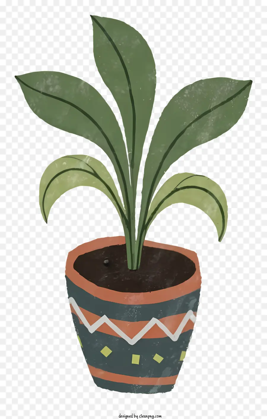 Petite Plante En Pot，Plante En Pot PNG