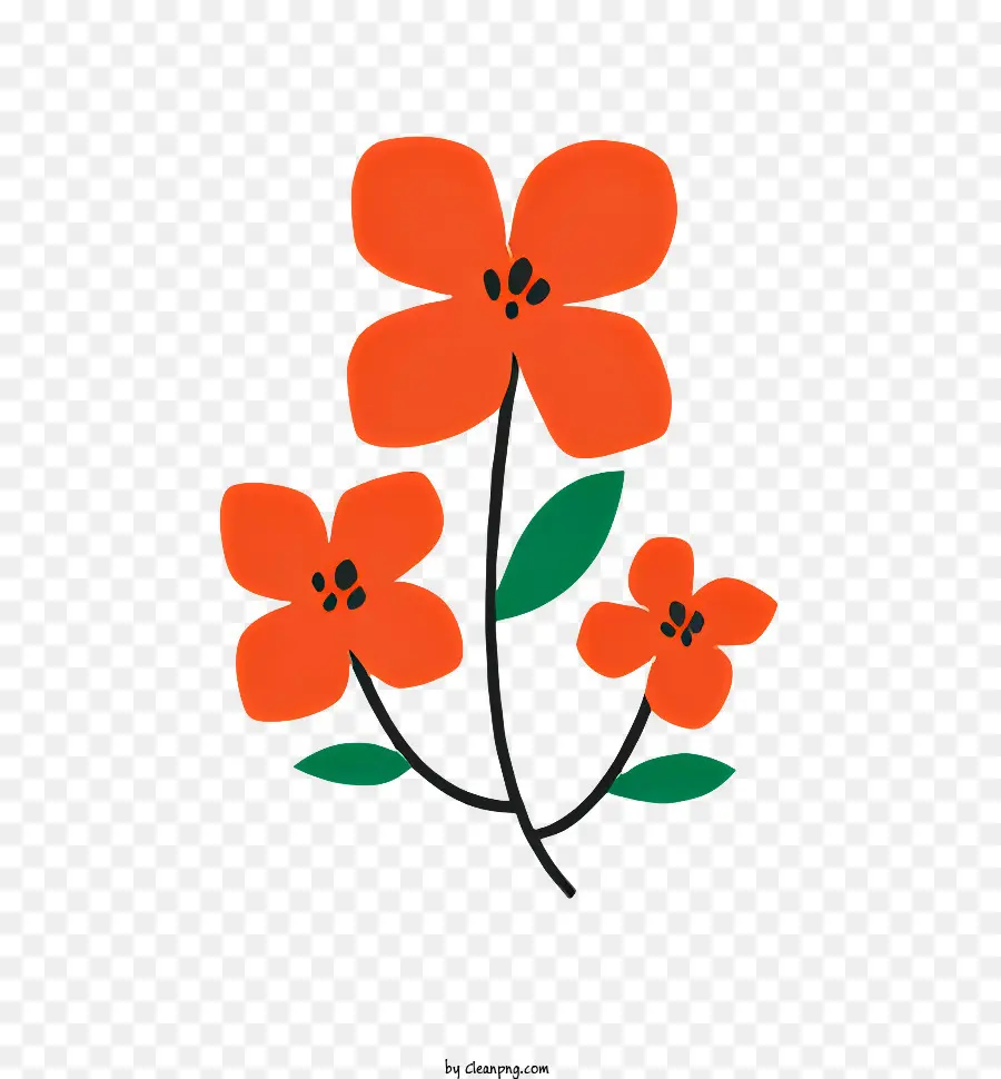 Fleur，Orange PNG