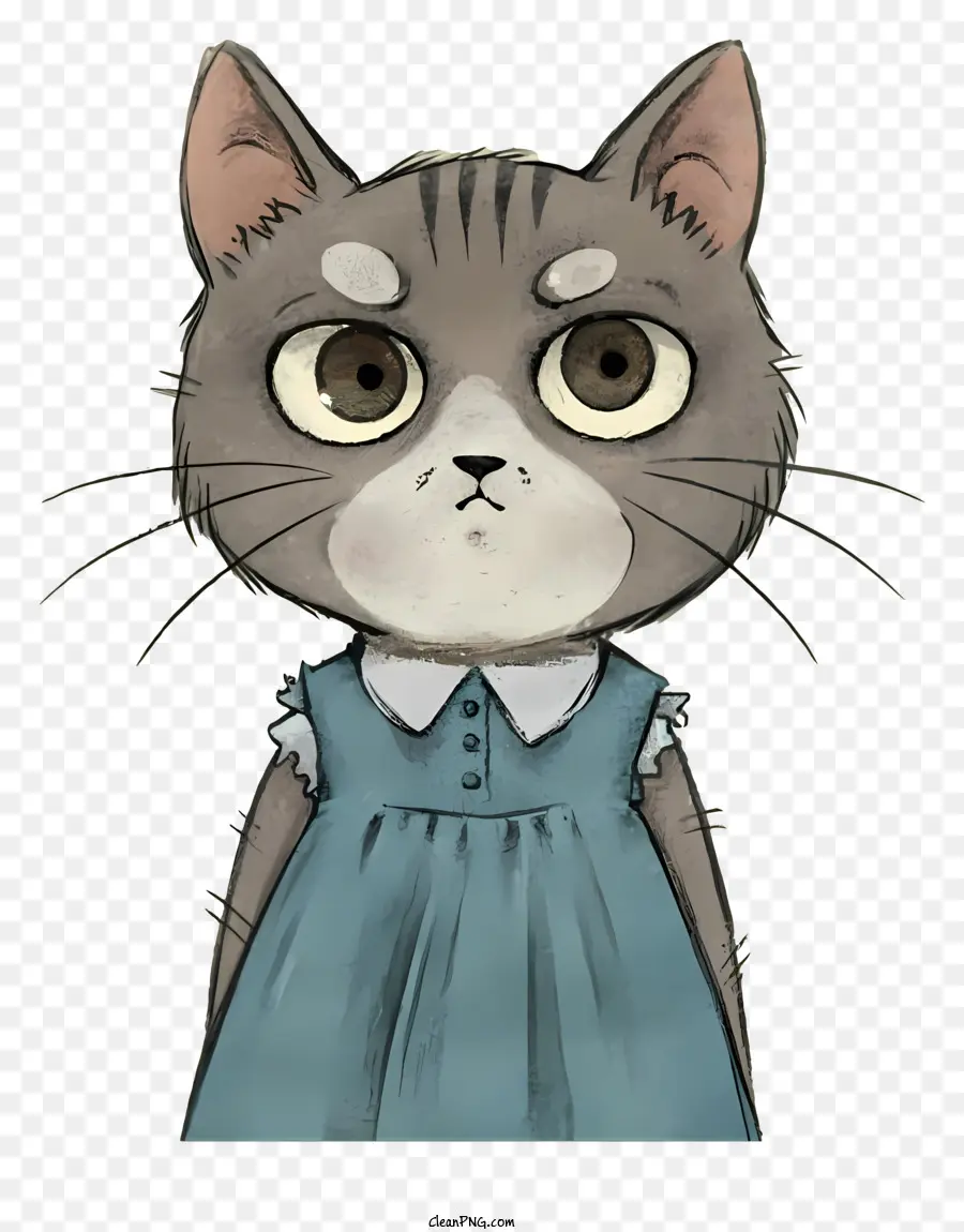 Chat Gris，Robe Bleue PNG