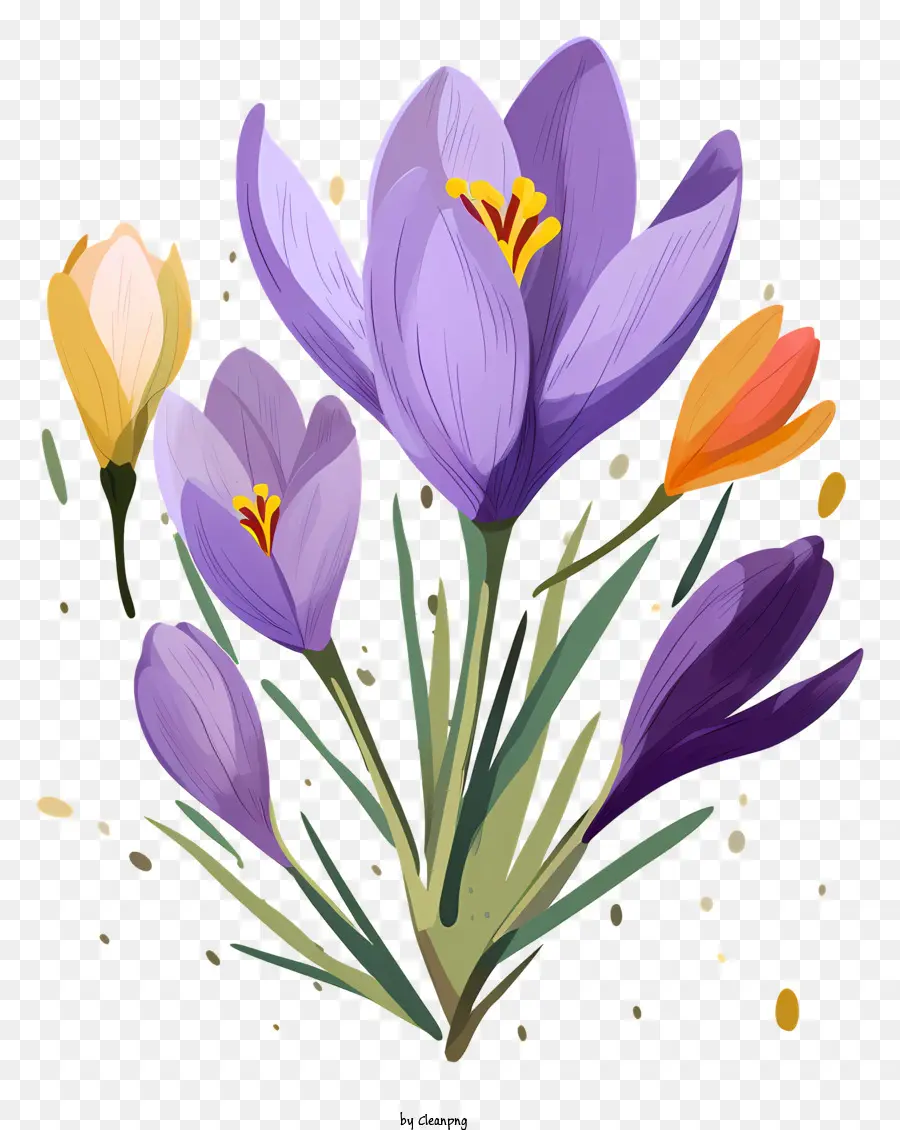 Crocus，Fleurs Violettes PNG