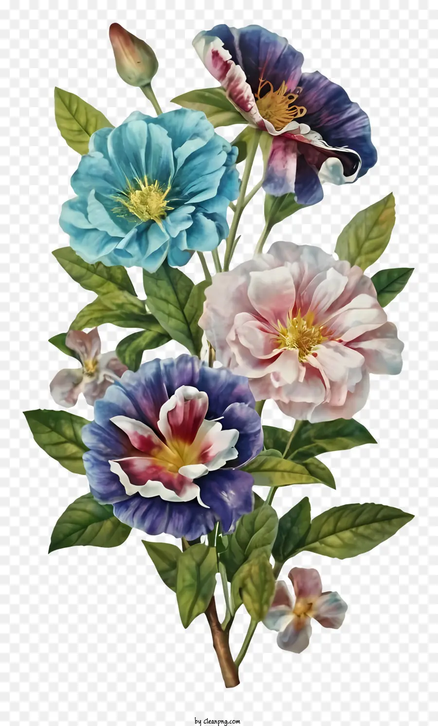 Bouquet De Fleurs，Des Roses De Couleur PNG