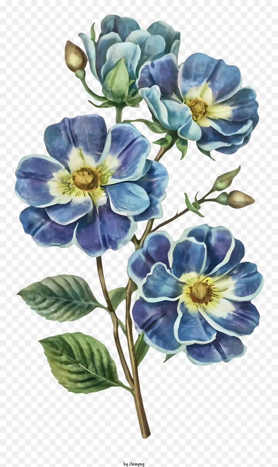 Peinture Rose Bleue，Bouquet De Roses Bleues PNG