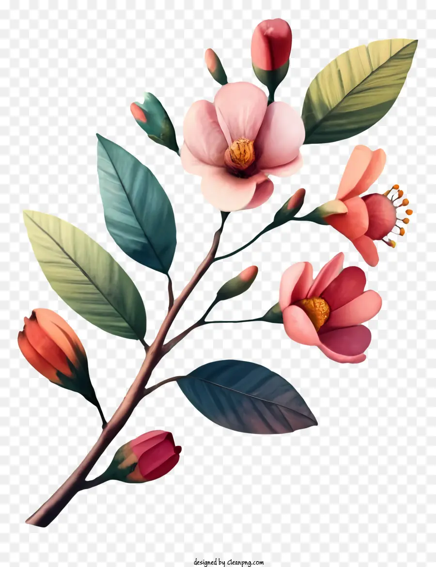 Illustration Numérique，Branche De Fleurs PNG