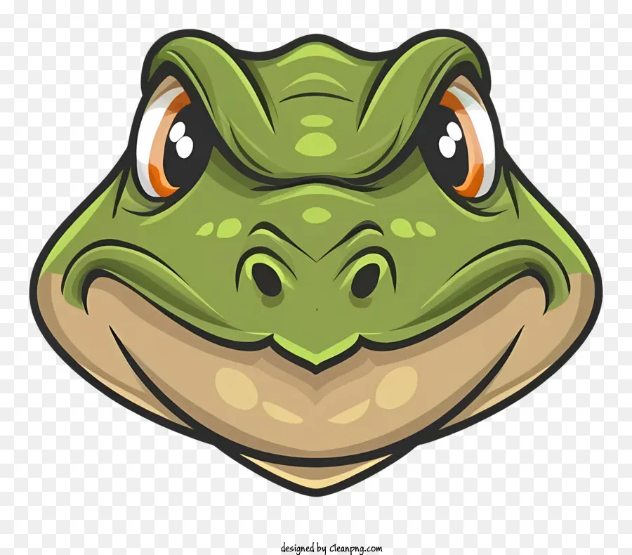 Lézard De Dessin Animé，Visage De Tortue PNG