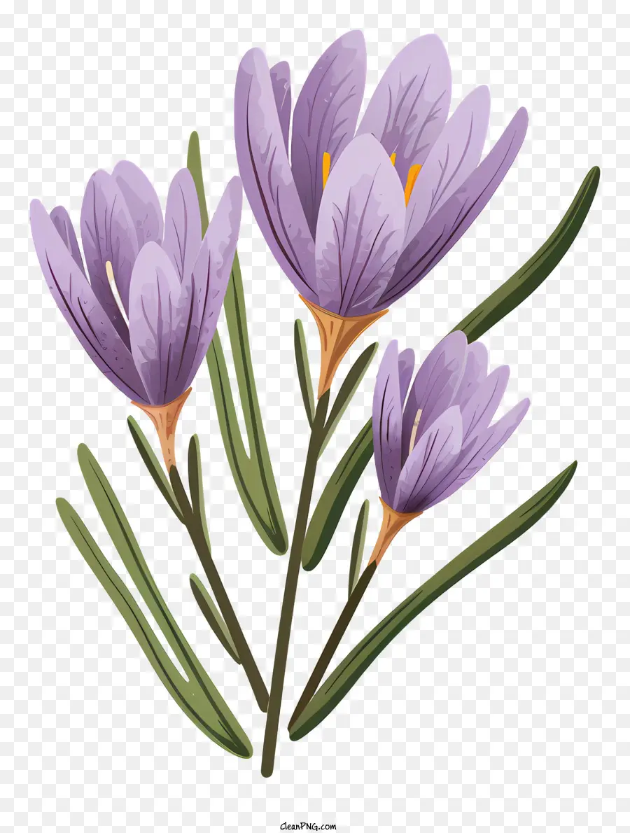 Fleur Violette，Fleurs Violettes PNG