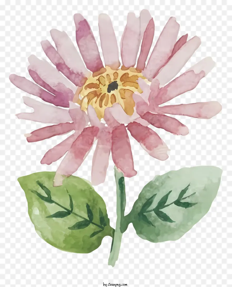 Fleur Rose，Fleur PNG