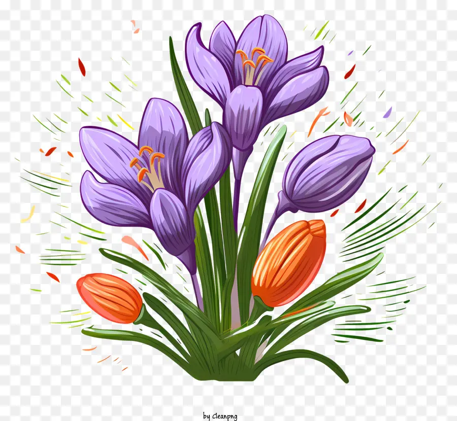 Fleurs De Printemps，Crocus Violets PNG