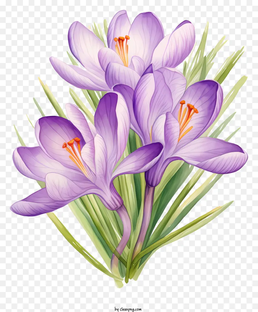 Cluster De Fleurs Violettes，Fleurs Délicates PNG